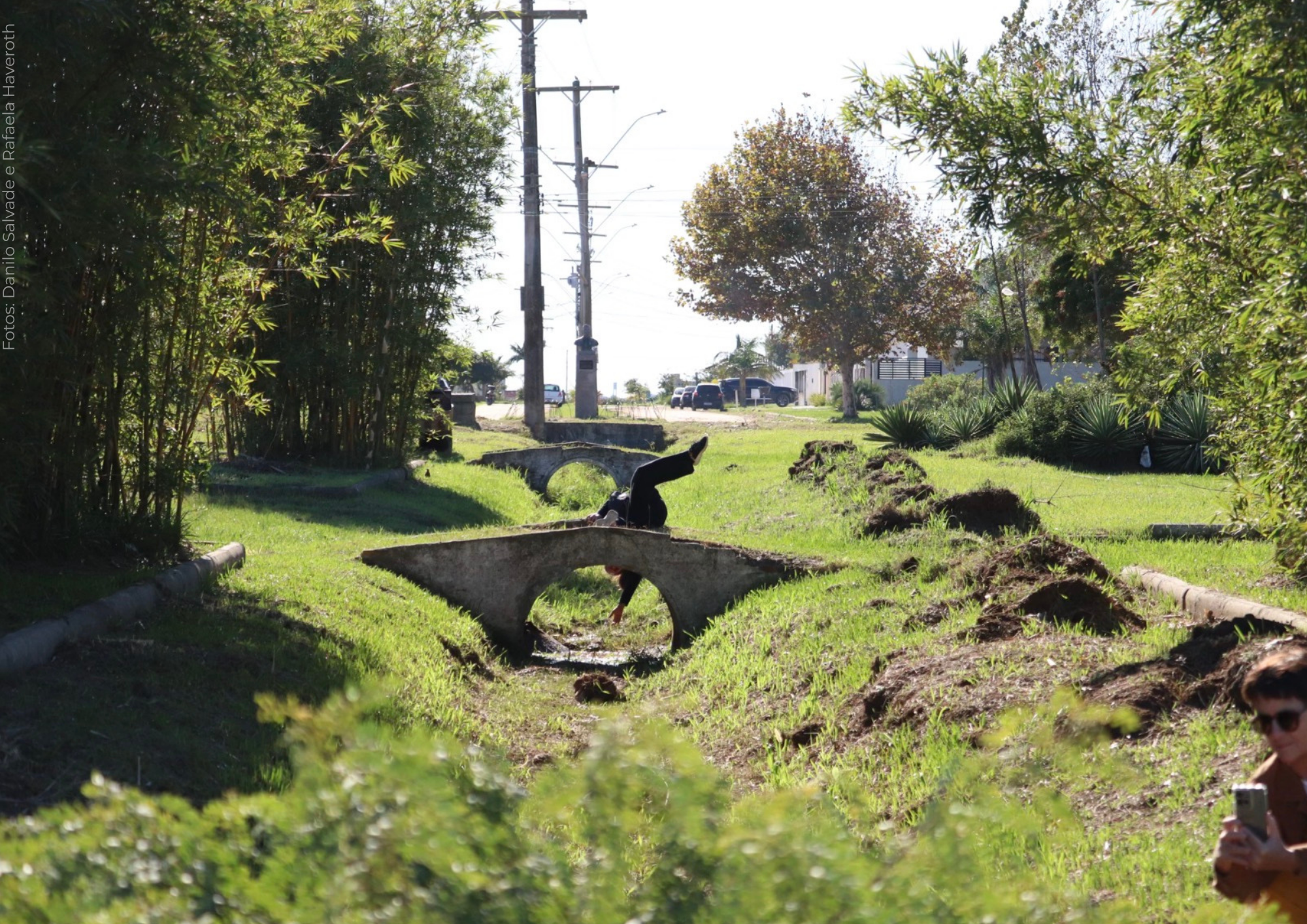 Companhia Turno 2 recebe Prêmio Pindorama com videodança “Kodama”