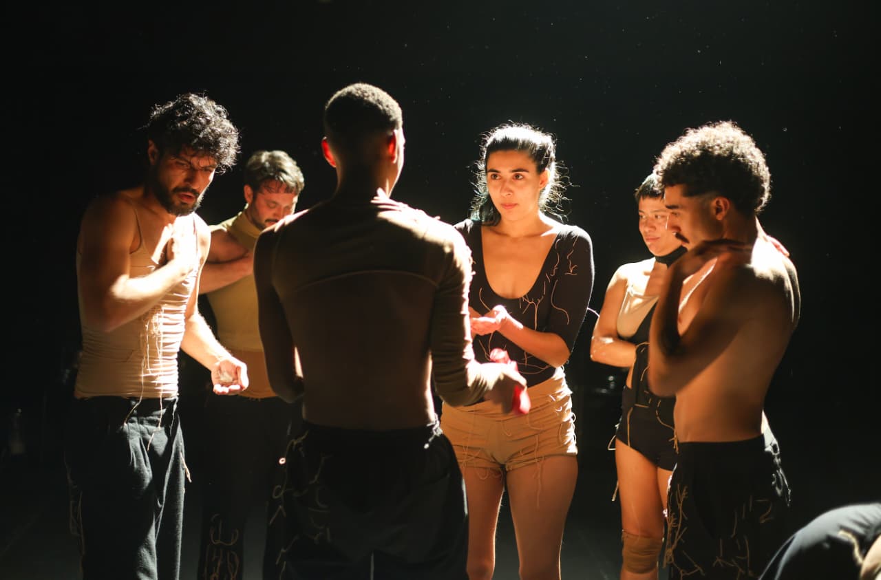 VSQ celebra 13 anos de trajetória com performance