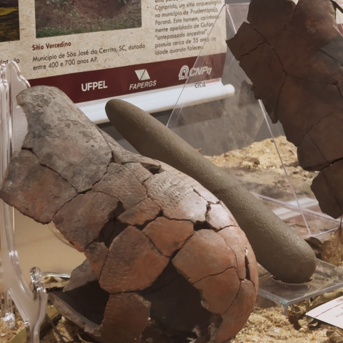 Museu Carlos Ritter abriga exposição sobre a história indígena em Pelotas e região