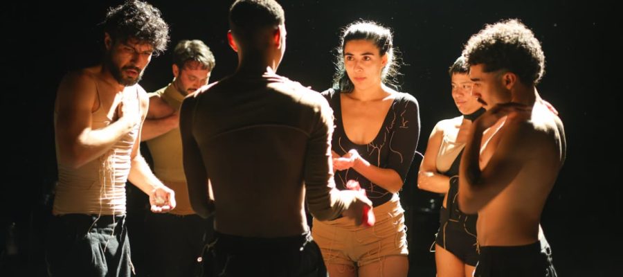 VSQ celebra 13 anos de trajetória com performance
