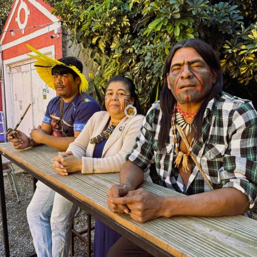 Exposição em Pelotas aproxima público da cultura indígena
