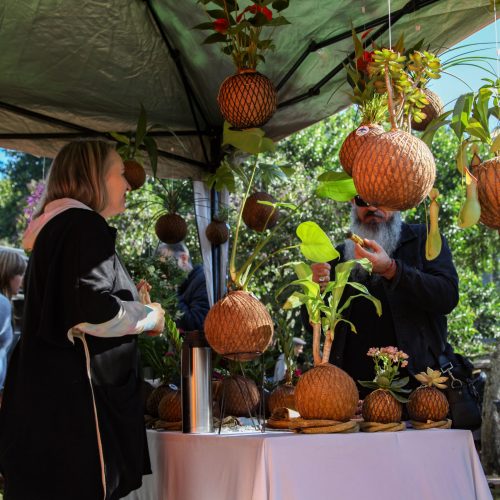 Feira de Economia Criativa reúne mais de 40 expositores