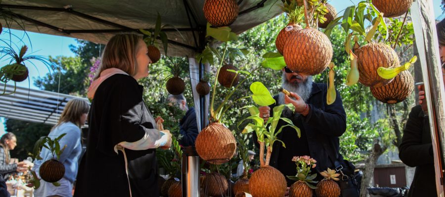 Feira de Economia Criativa reúne mais de 40 expositores