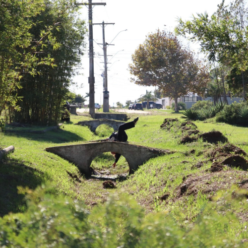 Companhia Turno 2 recebe Prêmio Pindorama com videodança “Kodama”